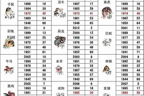 65年屬什麼|65年属什么 1965年属什么